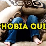 The Phobias Quiz