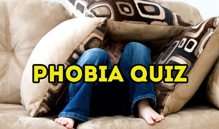 The Phobias Quiz