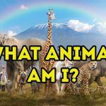 What animal am I quiz