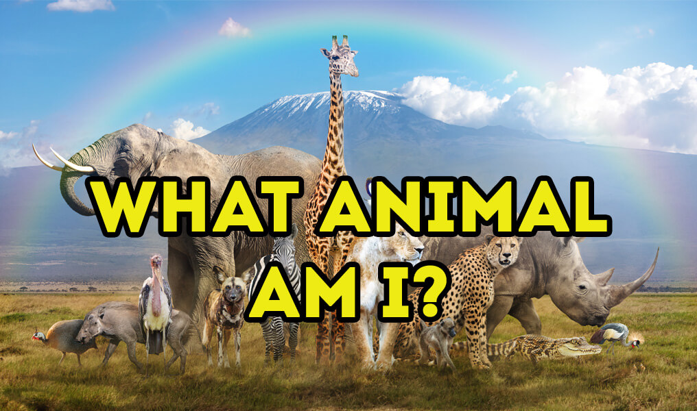 What animal am I quiz | Quizfinite