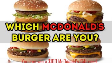 Which McDonald's burger are you