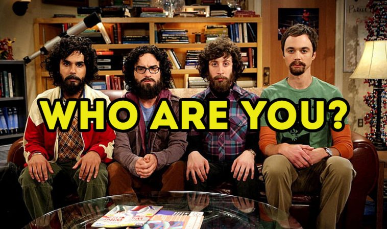 Which of The Big Bang Theory guys are you